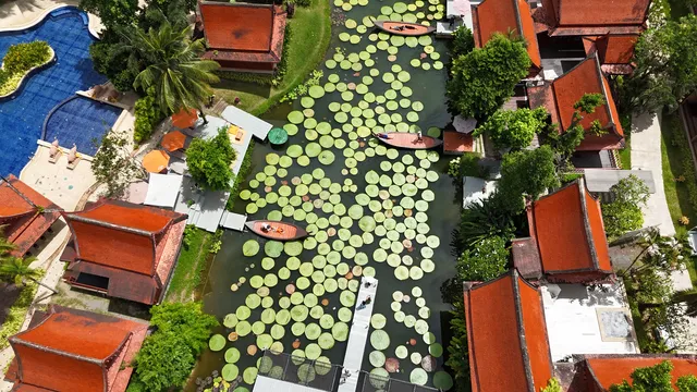 Ma Doo Bua - Phuket’s Famous Café with Giant Water Lilies