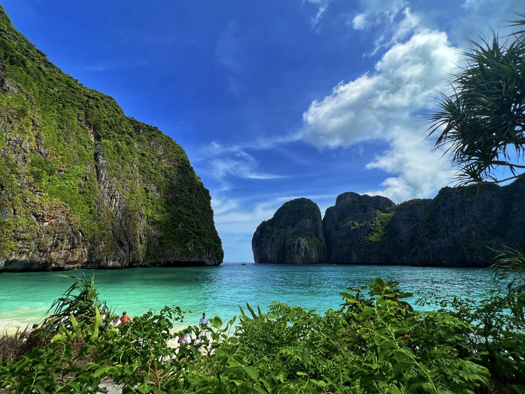 Maya Bay 2026: Prices, Rules & How to Avoid the Crowds