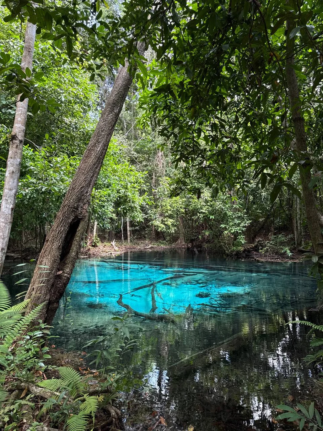 Krabi Day Trip with Tiger Cave, Hot Springs and Emerald Pool