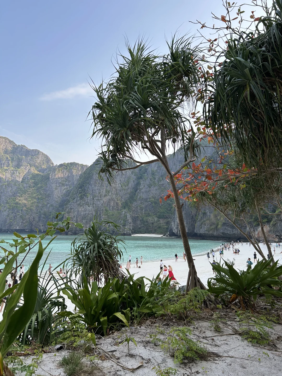Phi Phi Early Bird Day Trip with lunch