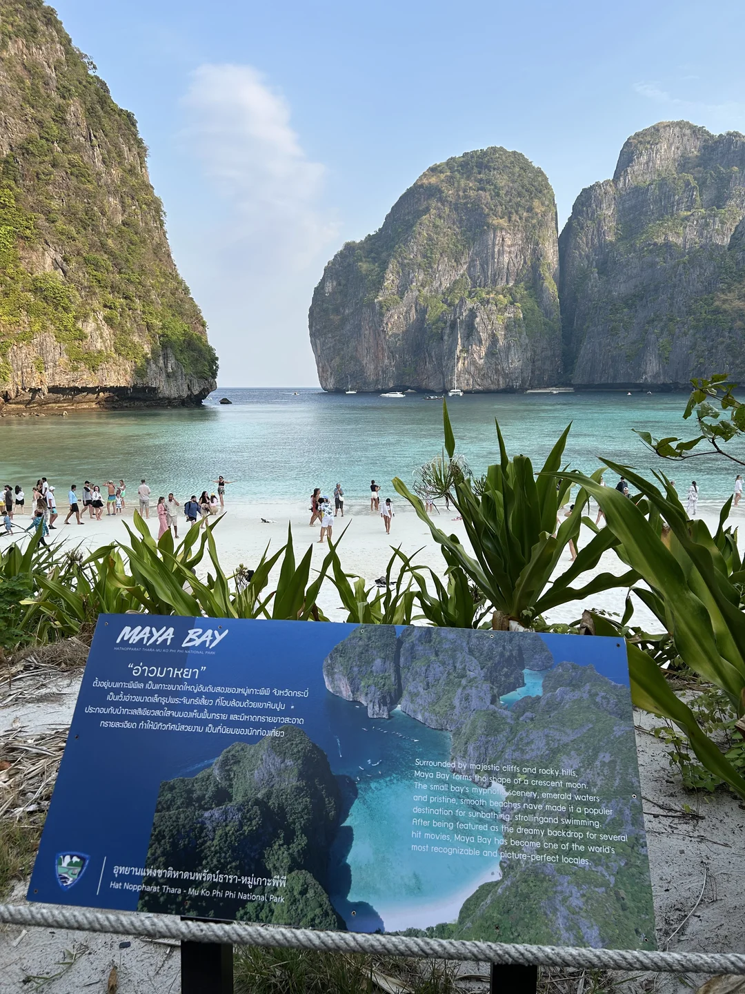 Phi Phi Early Bird Day Trip with lunch