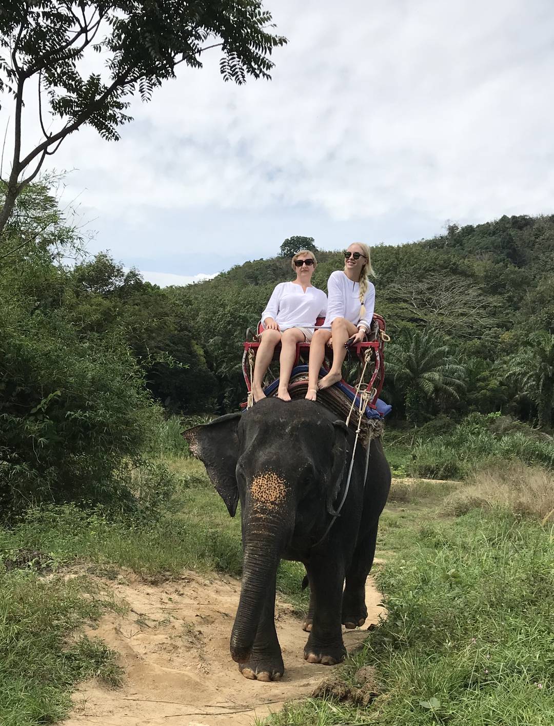 Khao Sok & Cheow Lan Lake Day Trip from Phuket