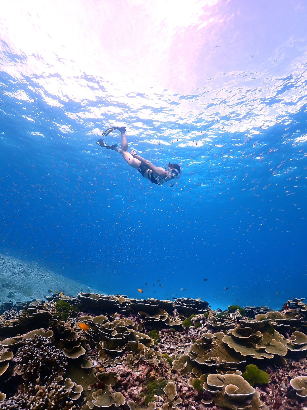 Similan Islands Day Trip by Catamaran