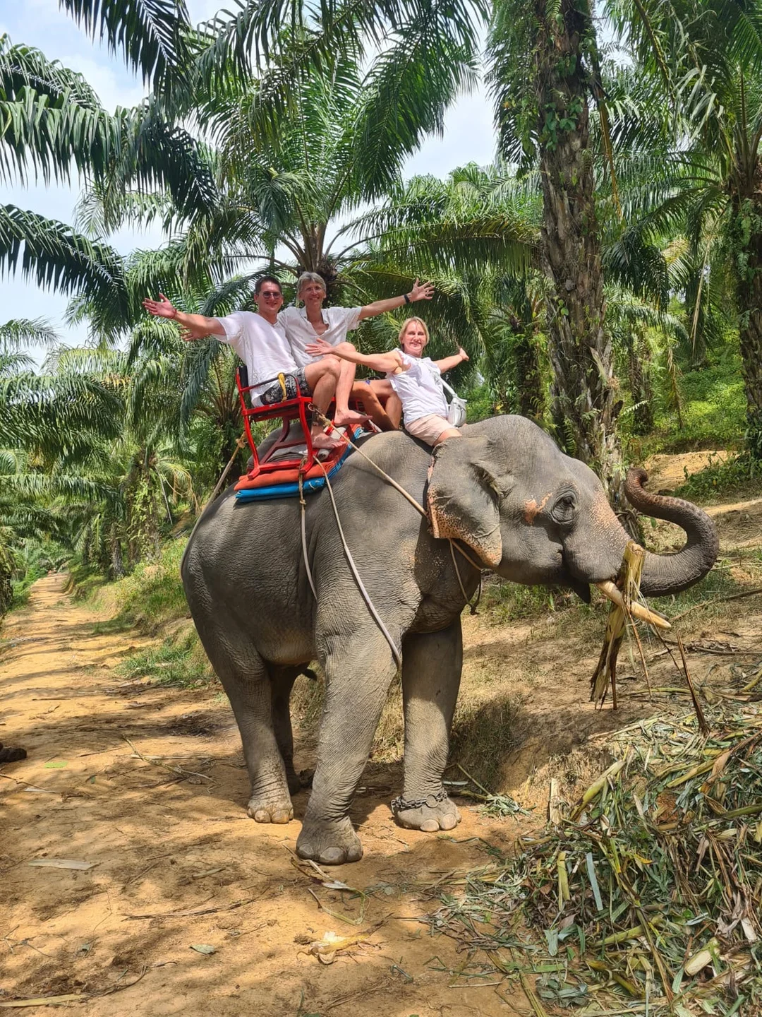 Khao Sok & Cheow Lan Lake Day Trip from Phuket