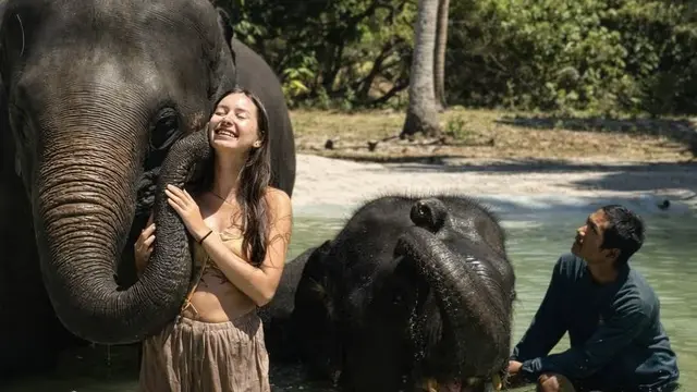 Mantra Spa Tour: Elephant Beach, Glass Bridge & Total Relaxation