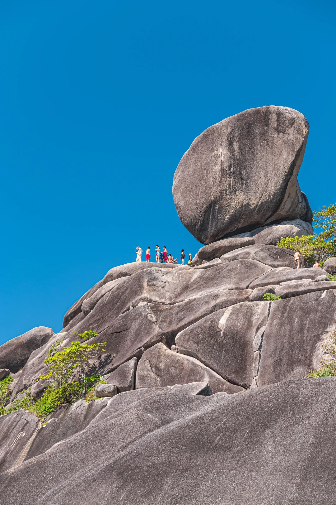 Early Bird Similan Islands Tour with Lunch