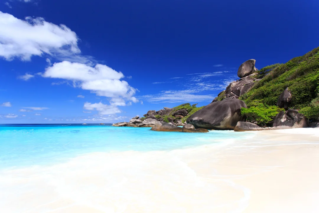 Early Bird Similan Islands Tour with Lunch