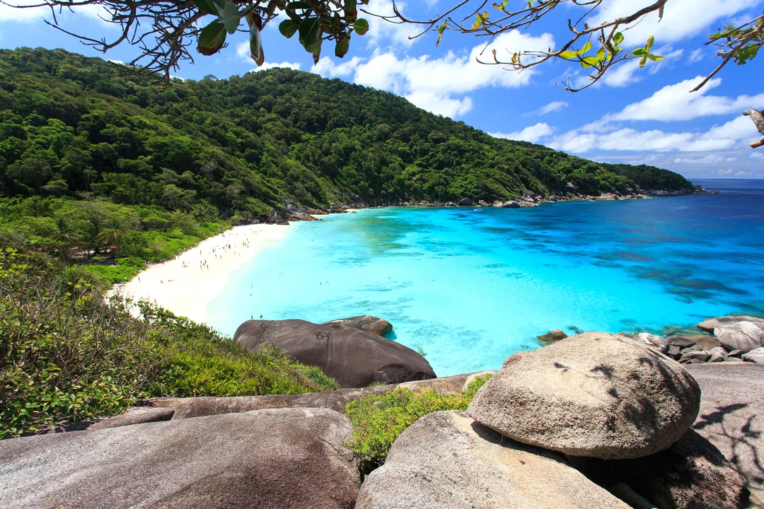 Early Bird Similan Islands Tour with Lunch