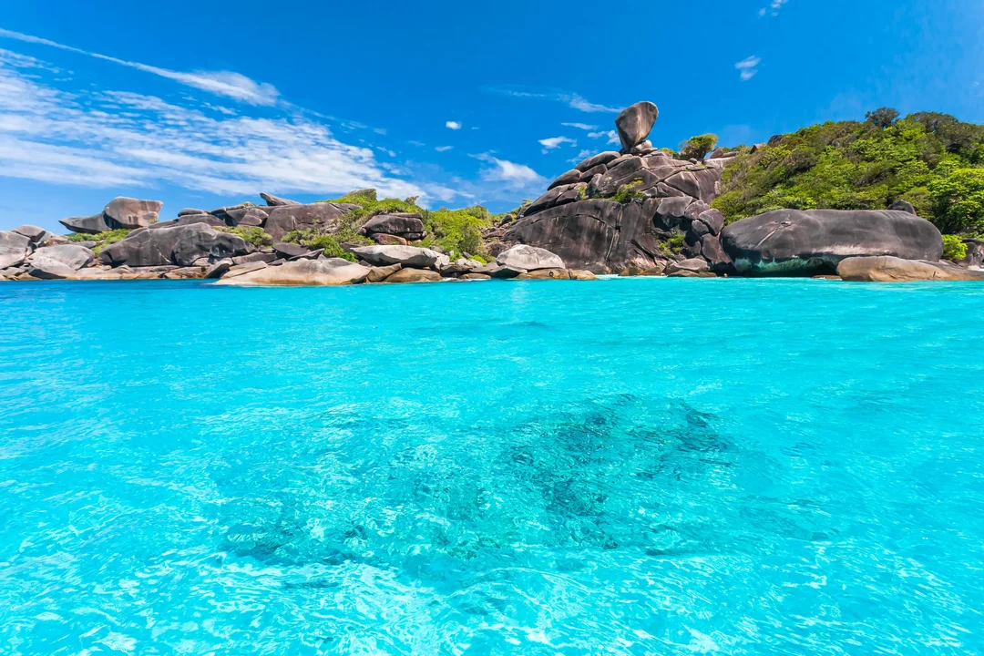 Early Bird Similan Islands Tour with Lunch